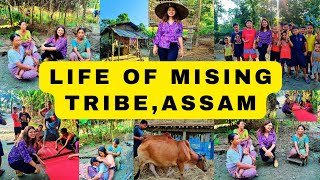 Mising Gaon Vlog|Mising or Missing?|Village life of Assam|Making of Mekhala chadore|Sangarh|Dergaon