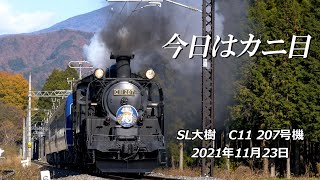 今日はカニ目のC11 207号機、倉ケ崎で「会津田島駅SL展示イベントの350型ツアー」列車を見送り