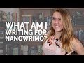 What am I Writing for NaNoWriMo? - NaNoWriMo WIP Tag