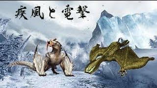 ＭＨ３Ｇケケの狩猟日記【４】疾風と電撃