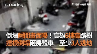 倒塌瞬間畫面曝！高雄6樓高路樹連根倒塌砸房毀車　至少3人逃劫