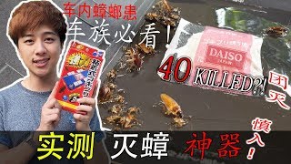 据说当你看到一只蟑螂时，就表明这里至少隐藏1000只。。。 消灭小强神器！看完影片分享给爸妈！车内蟑螂抓光光 载着媳妇嘻哈哈!!!