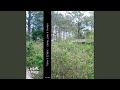 Kudzu