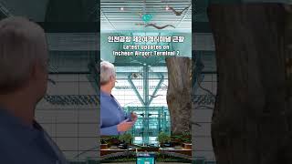 인천공항 제2여객터미널 근황 | Latest Updates on Incheon Airport Terminal 2