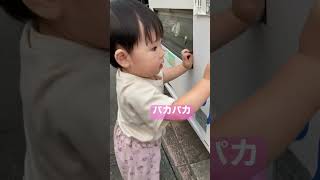 散歩中必ず自販機でとまる、笑【1歳4ヶ月】