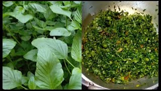 ഗാർഡൻ ഫ്രഷ് ചീര കറി | Kochi style Green Spinach Curry |  Kerala |Kochi Style | Homemade | Recipe 2#