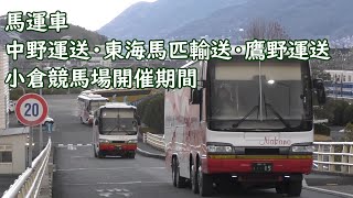 馬運車/中野運送・東海馬匹輸送・鷹野運送 小倉競馬場開催期間