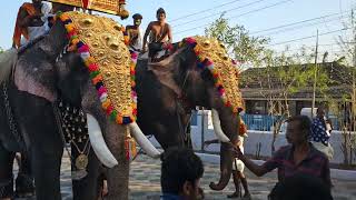 Guruvayoor Indrasen taking thidampu @ Ramassery Kummatti 2023