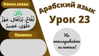 Начните сейчас! Арабский язык для начинающих. Урок 23