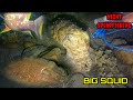 Night Spearfishing, Panah Ikan Malam Hari Series 110, Beda Spot Beda Rasa