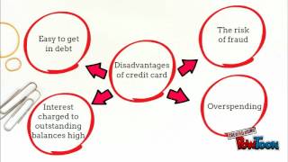 consumer credit fin533