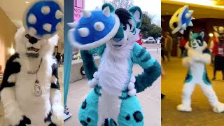 Blue-Shelling My Furry Friends || Texas Furry Fiesta 2020 Vlog