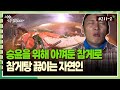 [자연인] 211-2 승윤을 위해 아껴둔 참게로 참게탕 끓이는 자연인