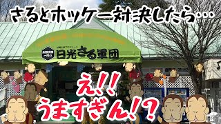 日光さる軍団のお猿とホッケー対決🐒 #さる #日光 #ホッケー