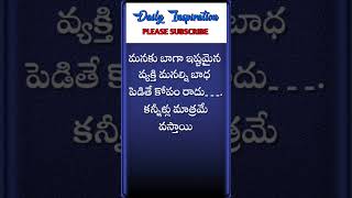 మనకు బాగా ఇష్టమైన వ్యక్తి |Telugu WhatsApp status Quotes #dailyInspiration #shorts