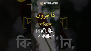 শব্দ ভিডিও ২২৮। প্রতিদিন আল কুরআনের ৫ টি শব্দ শিখুন ।। Learn 5 words of Quran every day