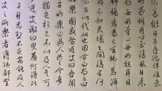 臨 文徵明 《獨樂園記及獨樂園七詠》 毛筆式 鉛筆書法