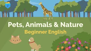 Pets & Animals  | Beginner English