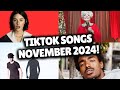 Top Trending Songs on TikTok - November 2024!