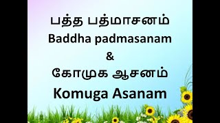 யோகாவின் நன்மைகள் - 20 | பத்த பத்மாசனம் \u0026 கோமுக ஆசனம்  செய்முறை-பலன்கள்| #Weight Loss