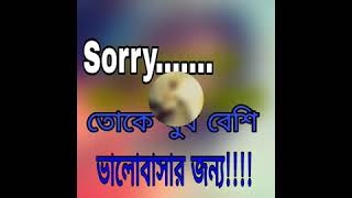 তোকে খুব বেশি ভালোবাসার জন্য sorry