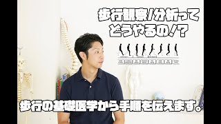 【歩行観察/分析】国試を臨床に生かす【動作分析の手順】