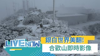 LIVE直播｜追雪囉~合歡山.太平山.阿里山即時影像 掌握第一手降雪資訊｜三立新聞台