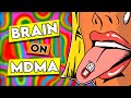 Your Brain On MDMA