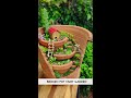 Broken Pot moss garden #shorts #ytshorts #gardenshorts #moss #mossgarden