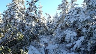 【登山】日本百名山に登ってみた19B-1/2　八幡平編