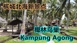 走走槟城北海新景点 | 椰林鸟巢 Kampung Agong