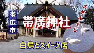 帯廣神社の近くを流れる帯広川に、今年も白鳥が来てます。えぞみくじ①（鮭）/2020