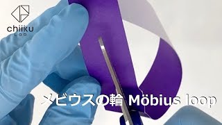 メビウスの輪／Möbius loop（1回ねじる）【数学】