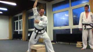 Kyek-Pa Taekwon-Do Sammler und Weiss.mp4