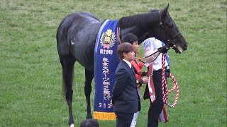 【口取り 表彰式】2024   東京スポーツ杯2歳S クロワデュノール 北村 友一【東京競馬場】