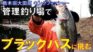 日本有数の管理釣り場で ブラックバスに挑む！@キングフィッシャー