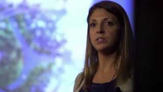 Biochar - the future of sustainable agriculture: Lauren Hale at TEDxUCR