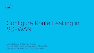 How to Configure Route Leaking in SD-WAN | Simplify Network Routing