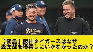 【緊急】阪神タイガースはなぜ森友哉を獲得しにいかなかったのか？【2chプロ野球まとめ】