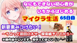 【マイクラ】新要素見つけたい。～前回のネザー探索の続きが終わってから～なにもできない初心者が一からはじめるマイクラ生活65日目。【#綺羅コオリ​/新人Vtuber】