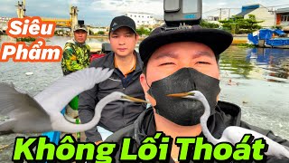 Hạ KHỔNG LỒ Quá Khủng Con Hàng Không Lối Thoát Chuyến Đi Săn Đầy Kịch Tính #lữkháchsurvival