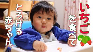 【1歳2ヶ月】いちごを食べてとろける赤ちゃん