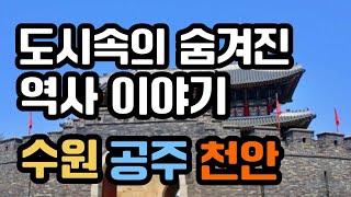 [30개 도시로 읽는 한국사]수원,공주,천안의 역사를 소개합니다