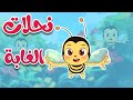 أغنية نحلات الغابة - قناة أسرتنا