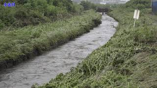 [4K] 小出川増水。藤沢市　2021年7月3日。