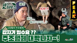 [#피크타임] 드라마 속 대나무 숲! 밤에 보면 전설의 고향? 조선시대 판 세컨하우스에 방문한 주조 형제! | #세컨하우스 | KBS 230126 방송