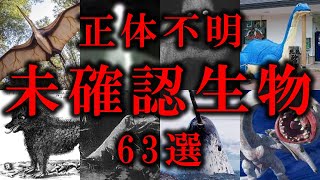 【作業用・睡眠用】世界が震えた‥未だ解明されない未確認生物63選【傑作まとめ】