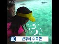 밴쿠버에서 꼭 가야할 명소 탑10