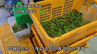 청양고추청 파채기계로 만들기