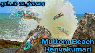 The most beautiful beach in Kanyakumari | Muttom Beach | Tamilnadu India | 4K